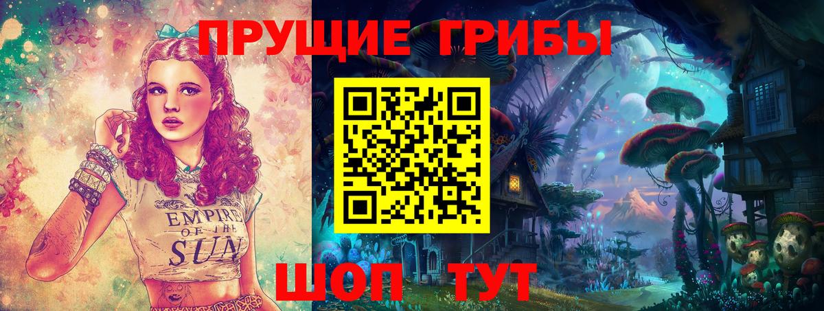 Елец  Псилоцибиновые грибы MAGIC MUSHROOMS  Вход с VPN 